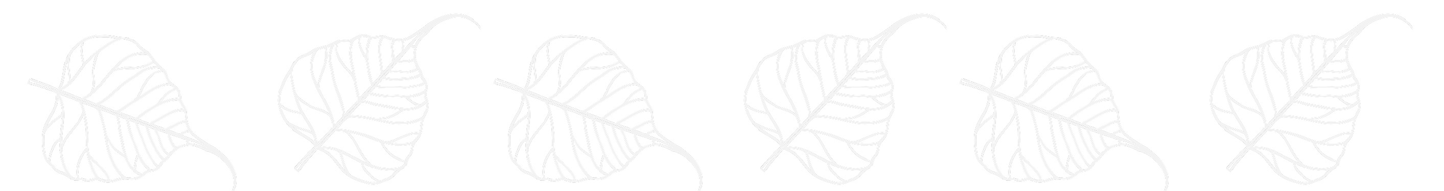 leaves_lines